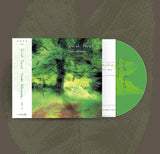 Quiet Forest