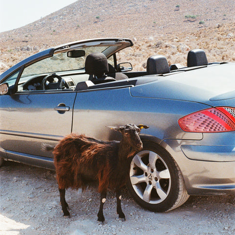 Prove The Mountains Move