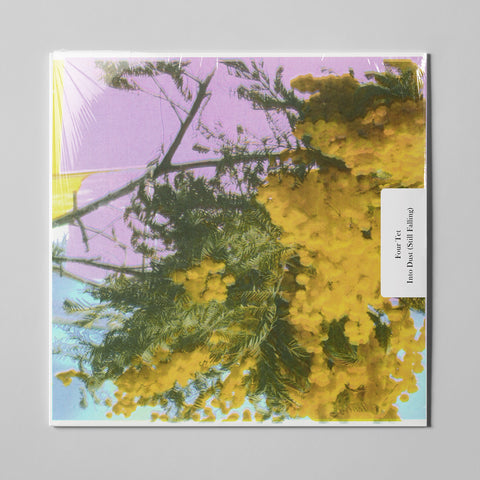 Into Dust (Still Falling)