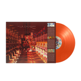 Lovely Night Of Terror