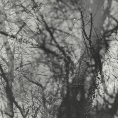 Way Their Crept (2025 Reissue)