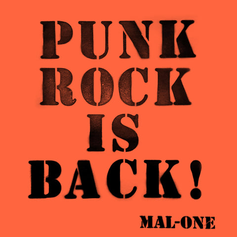 Punk Rock Is Back !