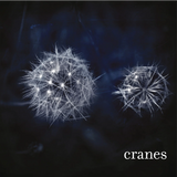 Cranes