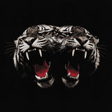 Dead Company