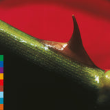 Night Song (30th Anniversary Edition)