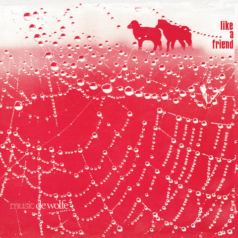 Like A Friend (2025 Reissue)