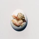 SWALLOW