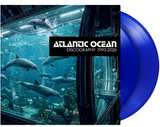 Discography 1993-2026
