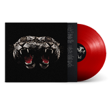Dead Company