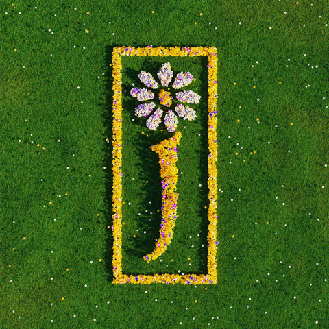 Nothing But Love – The Definitive Best Of