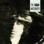 Waterboys The Waterboys LP 0825646310814 Worldwide Shipping