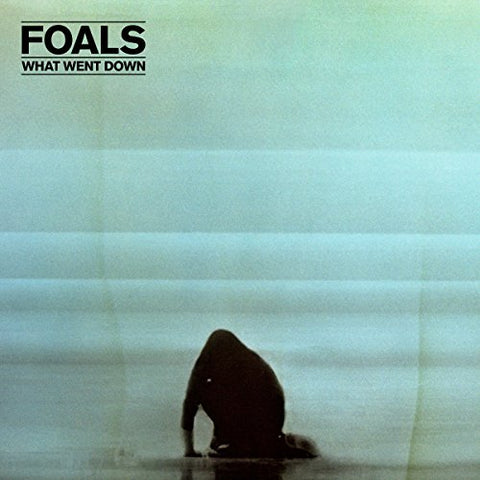 Foals What Went Down LP 0825646075034 Worldwide Shipping