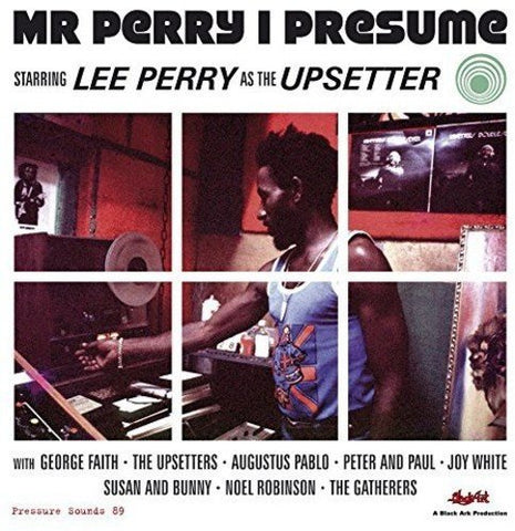 Mr. Perry I Presume (2LP vinyl)