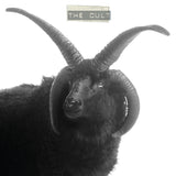 The Cult (2023 Reissue)