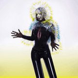 Björk Vulnicura Sister Ray