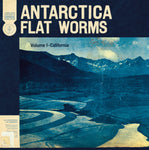 Flat Worms Antartica 181484201816 Worldwide Shipping