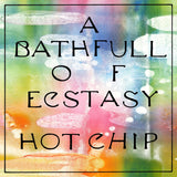 Hot Chip A Bath Full Of Ecstasy Sister Ray