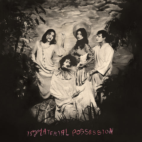 Immaterial Possession