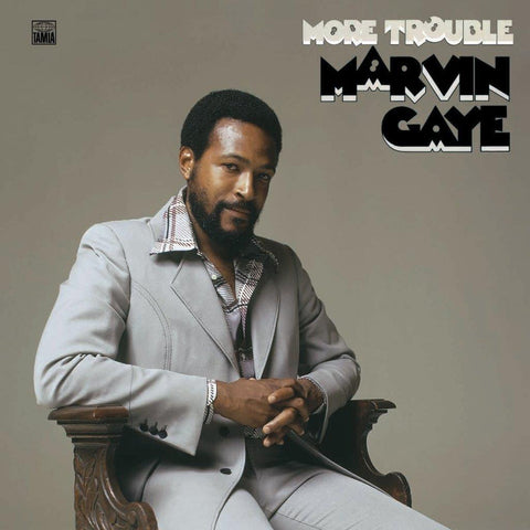 Marvin Gaye More Trouble LP 0602508487927 Worldwide Shipping