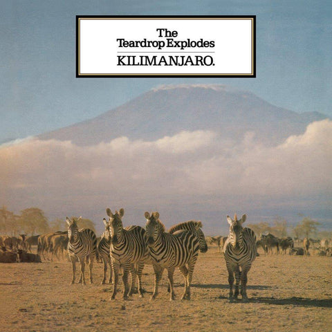 The Teardrop Explodes Kilimanjaro Sister Ray
