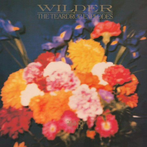 The Teardrop Explodes Wilder Sister Ray