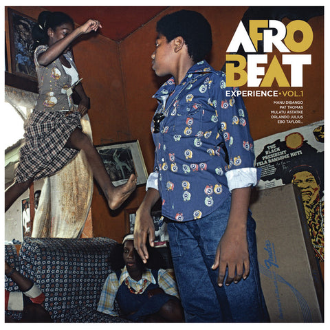 Afrobeat Experience Vol. 1