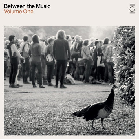 Between The Music