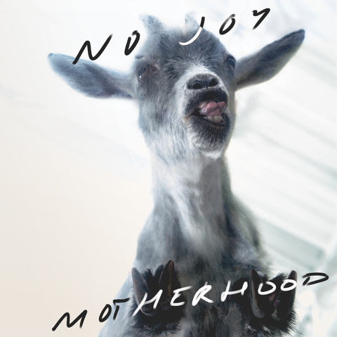 No Joy Motherhood 0753936905757 Worldwide Shipping