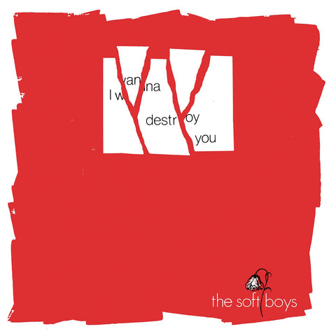 I Wanna Destroy You / Near The Soft Boys (40th Anniversary Edition) (RSD Aug 29th)