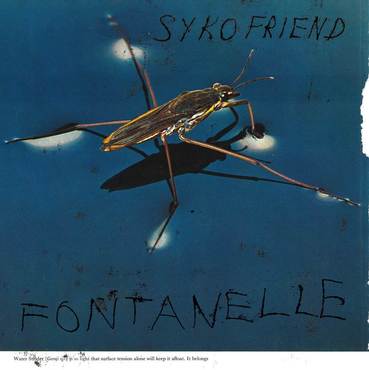 Syko Friend Fontanelle LP 0795853950816 Worldwide Shipping