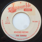 Weather Report / Hopeful Village 7"