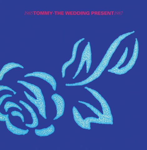 the wedding present tommy sister ray