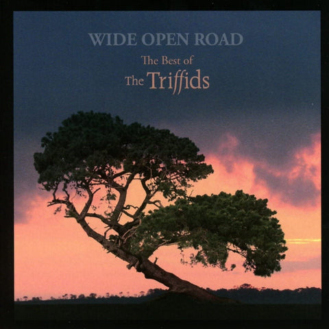Wide Open Road - The Best of the Triffids