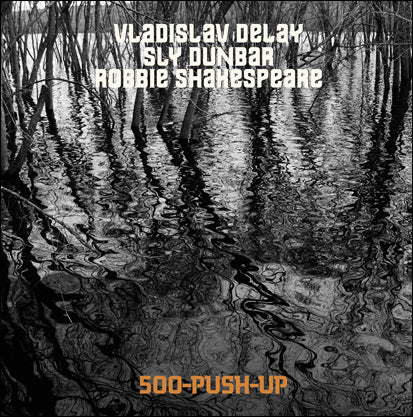 Vladislav Delay Meets Sly & Robbie 500 Push Up 5411867334996