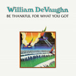 Be Thankful For What You Got [VINYL]